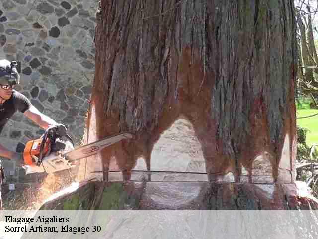 Elagage aigaliers-30700 Sorrel Artisan; Elagage 30