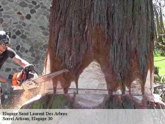 Elagage  saint-laurent-des-arbres-30126 Sorrel Artisan; Elagage 30