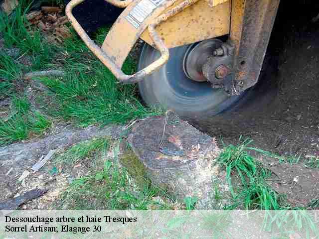 Dessouchage arbre et haie  tresques-30330 Sorrel Artisan; Elagage 30