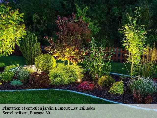 Plantation et entretien jardin branoux-les-taillades-30110 Sorrel Artisan; Elagage 30