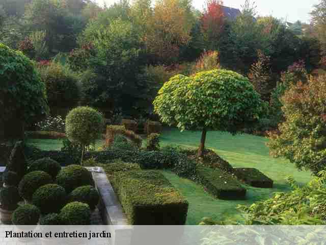 Plantation et entretien jardin