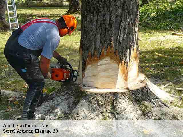 Abattage d'arbres  ales-30100 Sorrel Artisan; Elagage 30