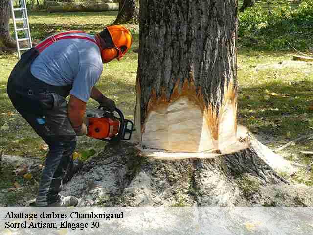 Abattage d'arbres  chamborigaud-30530 Sorrel Artisan; Elagage 30