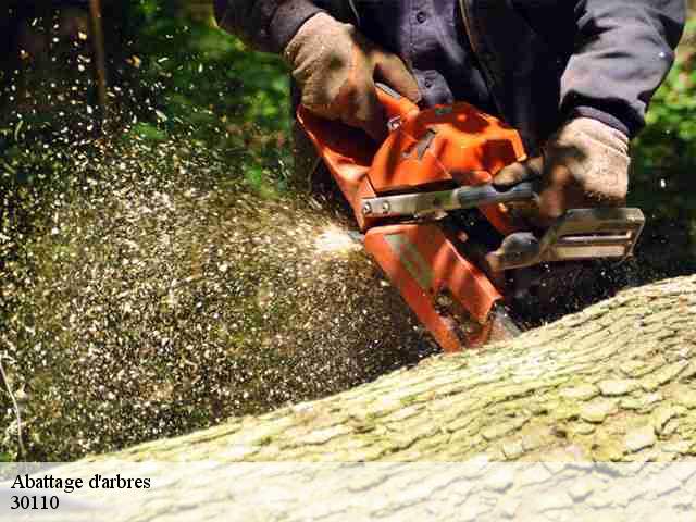 Abattage d'arbres 30110