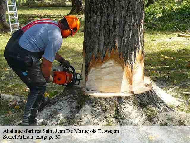 Abattage d'arbres  saint-jean-de-maruejols-et-avejan-30430 Sorrel Artisan; Elagage 30