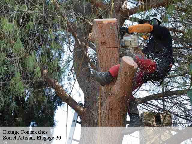 Etetage fontareches-30580 Sorrel Artisan; Elagage 30