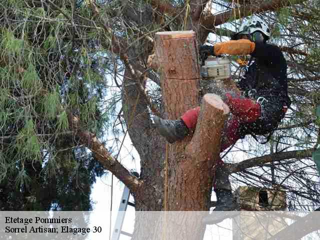 Etetage pommiers-30120 Sorrel Artisan; Elagage 30