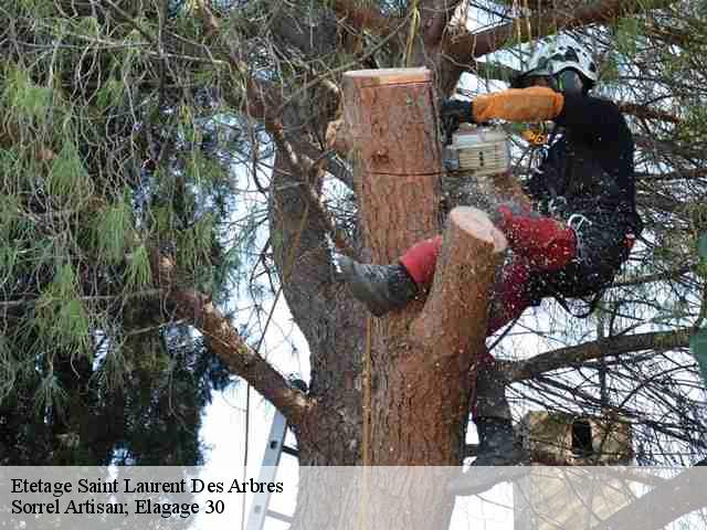 Etetage  saint-laurent-des-arbres-30126 Sorrel Artisan; Elagage 30