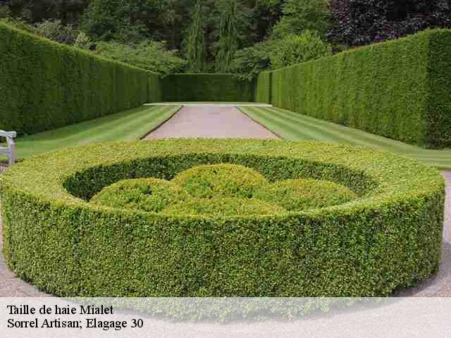 Taille de haie mialet-30140 Sorrel Artisan; Elagage 30