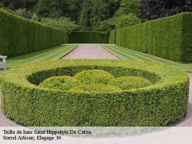 Taille de haie  saint-hippolyte-de-caton-30360 Sorrel Artisan; Elagage 30