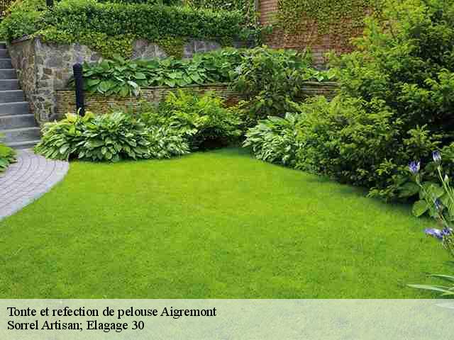 Tonte et refection de pelouse  aigremont-30350 Sorrel Artisan; Elagage 30