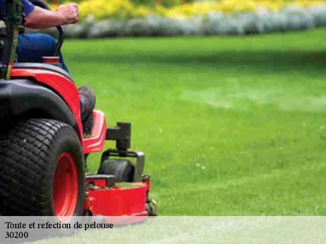 Tonte et refection de pelouse 30200